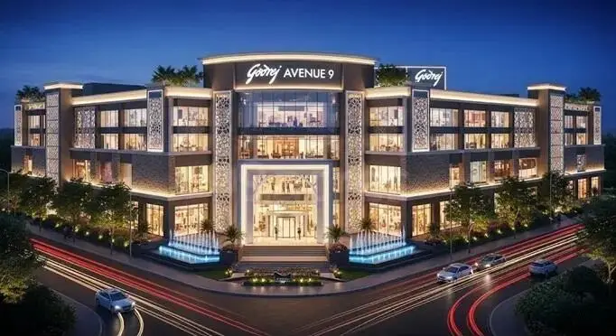 Project Gallery Image